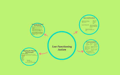 Low Functioning Autism by Julie Pysher on Prezi
