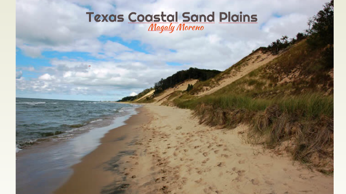 Texas Coastal Sand Plains by Magaly Moreno on Prezi