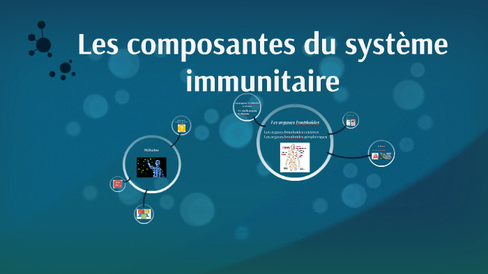 Les composantes du système immunitaire by sakly nabil on Prezi