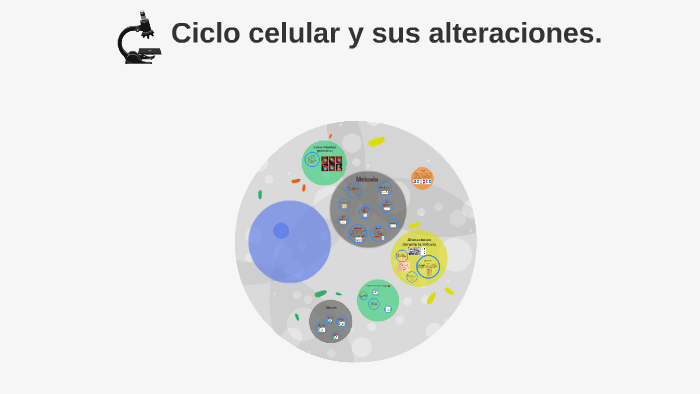 Ciclo celular by daniel cruz on Prezi