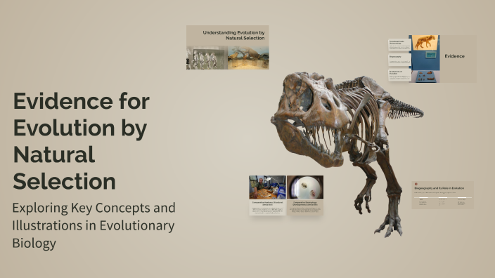 Evidence for Evolution by Natural Selection by jake d on Prezi