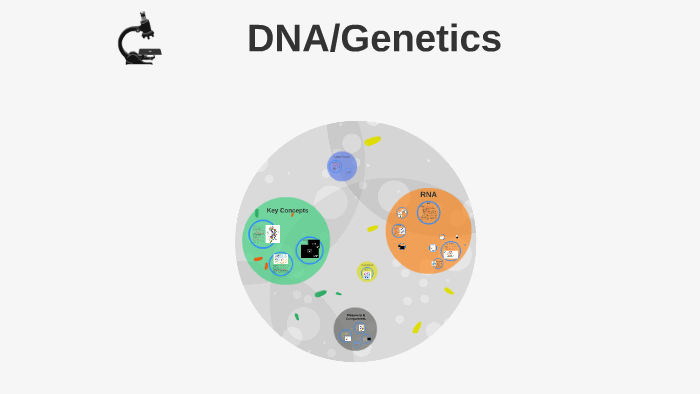 DNA/Genetics by Gail Miller on Prezi