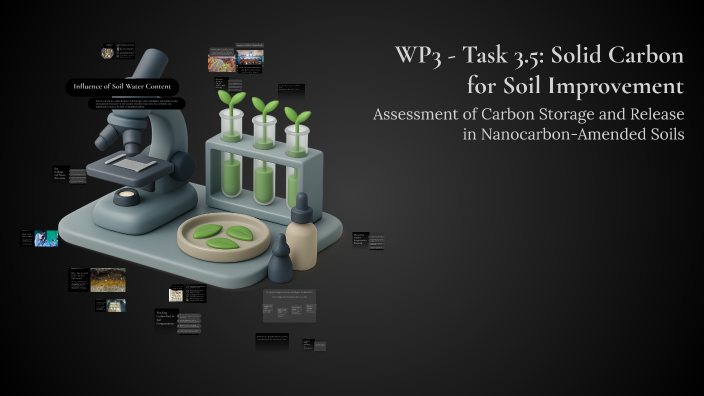 Exeba WP3 - Task 3.5: Solid Carbon for Soil Improvement by Kateryna Kostiuk ...