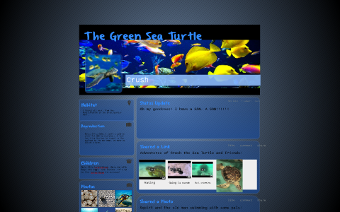 The Green Sea Turtle by B Hurst on Prezi