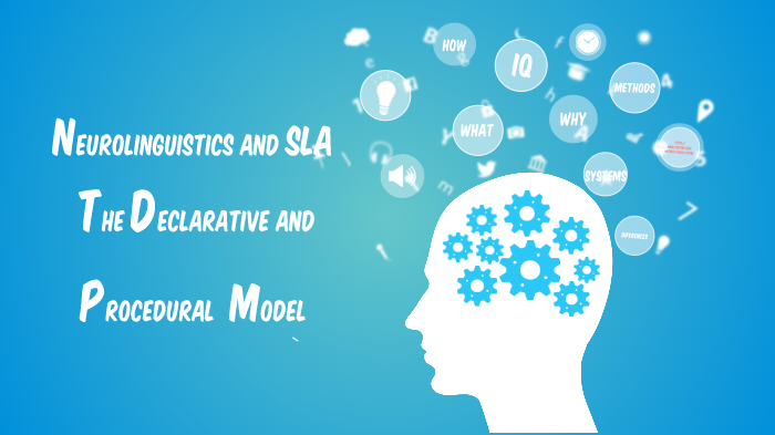 SLA and Declarative/Procedural Model by Mar Marchesi on Prezi