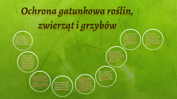 Ochrona gatunkowa roślin, zwierząt i grzybów by Zuzanna Czarnomska on Prezi