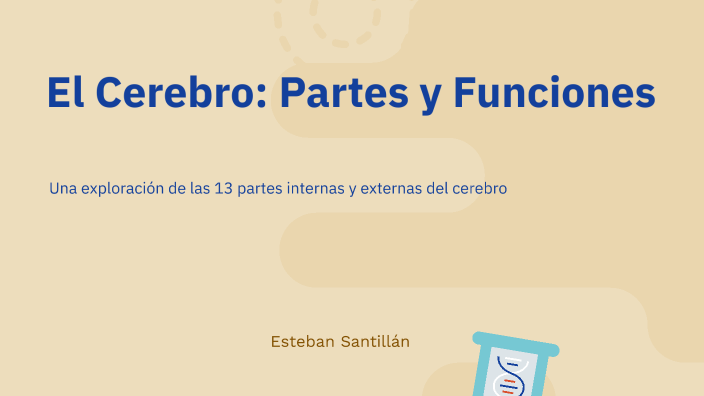 El Cerebro: Partes y Funciones by Esteban Santillan Vieira on Prezi