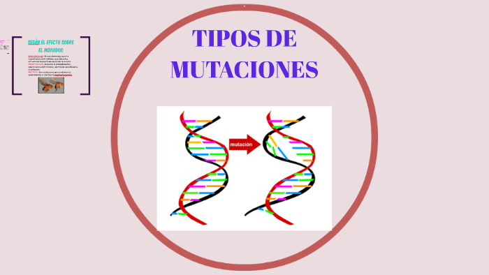 TIPOS DE MUTACIONES By Yulissa Maza Farro On Prezi