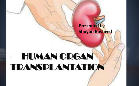 Sale of Human Organ