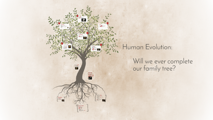 Human Evolution: by Claire Robb on Prezi