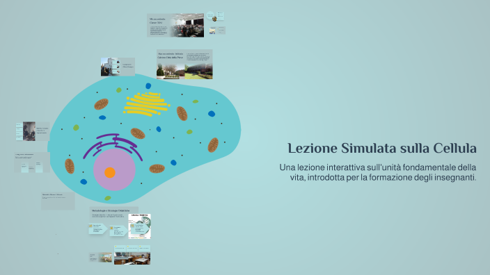 Lezione Simulata sulla Cellula by Alessandra Totti on Prezi