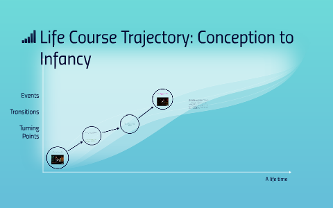 Life Course Trajectory: Conception to Infancy by Laura Voith on Prezi