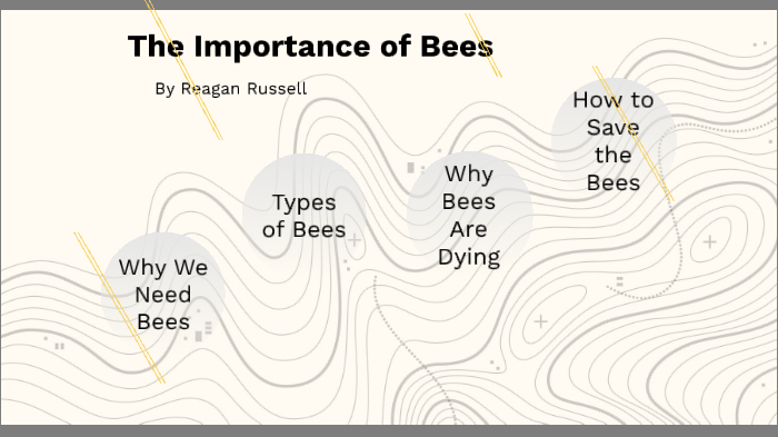 The Importance of Bees by Reagan Russell on Prezi