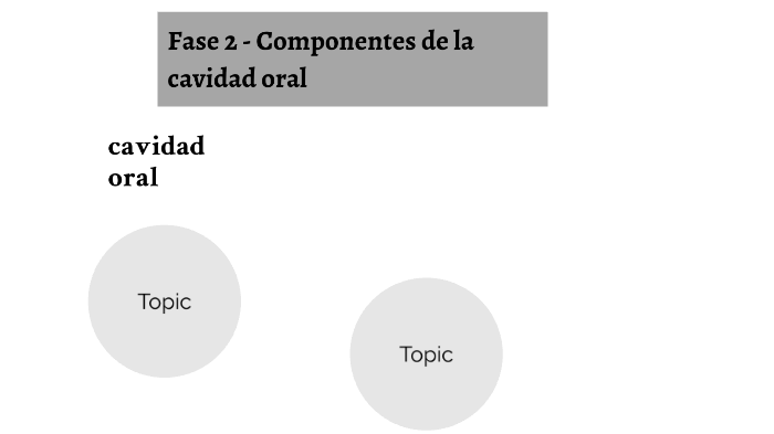 Fase Componentes De La Cavidad Oral By Elisa Ruiz