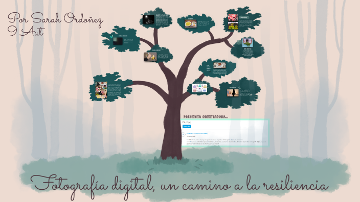 Fotografía digital, un camino a la resiliencia by Sarah Ordoñez on Prezi