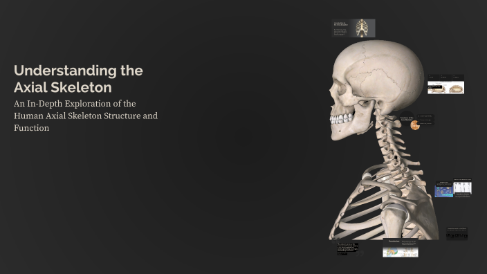 Understanding the Axial Skeleton by AMR STARK on Prezi