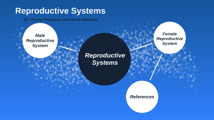 Reproductive Systems by Jonah Martinez on Prezi