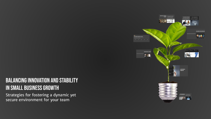 Balancing Innovation and Stability in Small Business Growth by CHLOE ...