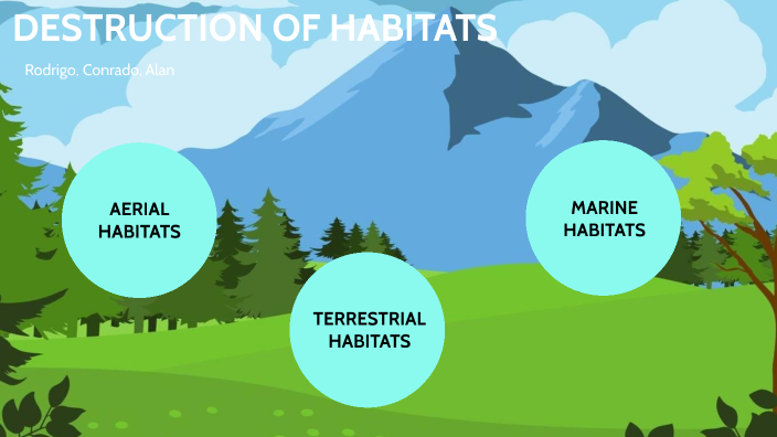 Destruction of habitats by Rodrigo Cerdán on Prezi Biology Diagrams