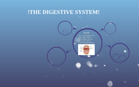 !THE DIGESTIVE SYSTEM! by Jesus Cruz on Prezi