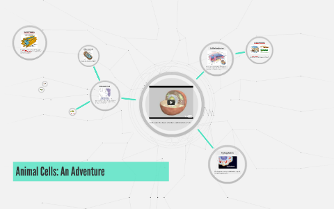 Animal Cells: An Adventure by Joel Rosback on Prezi