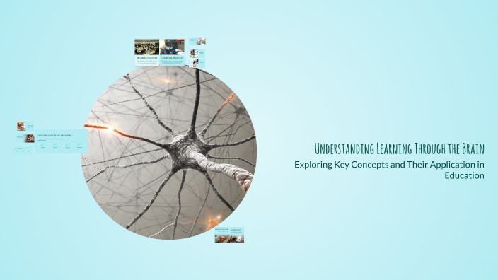 Understanding Learning Through the Brain by Natalie Martin on Prezi