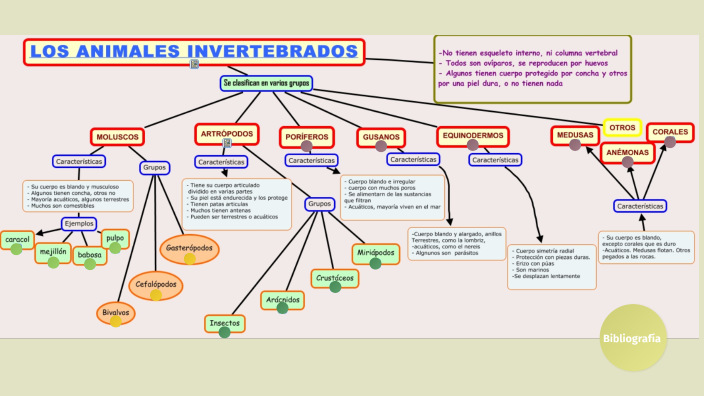 invertebrados by cielo chasi on Prezi