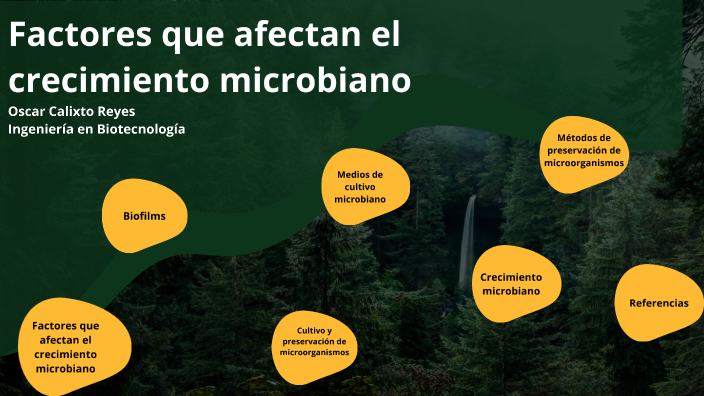 Factores que afectan el crecimiento microbiano by Oscar Calixto on Prezi