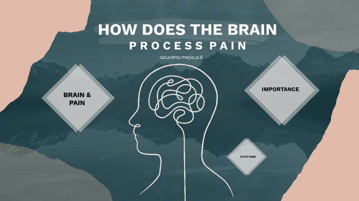 how-does-the-brain-process-pain-by-azucena-mejia