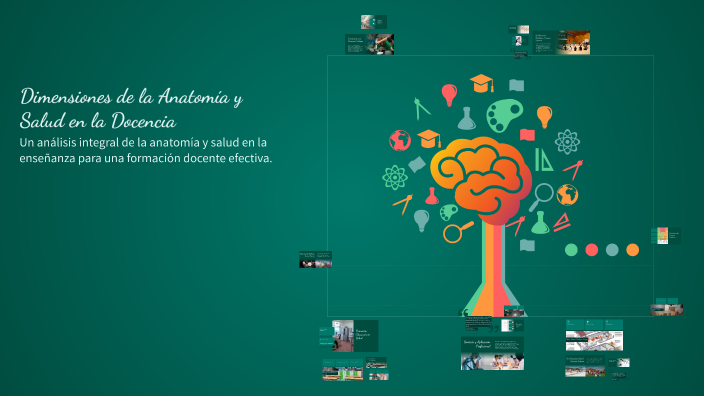 Dimensiones de la Anatomía y Salud en la Docencia by Laura Rodriguez on ...