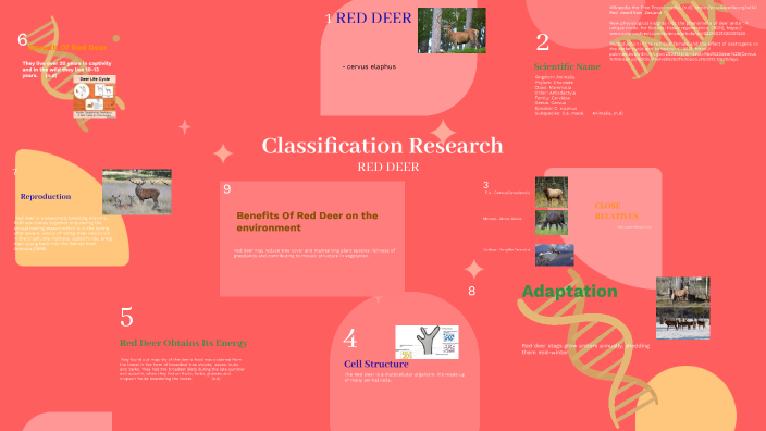 Classification Research by Shakera Jackson on Prezi