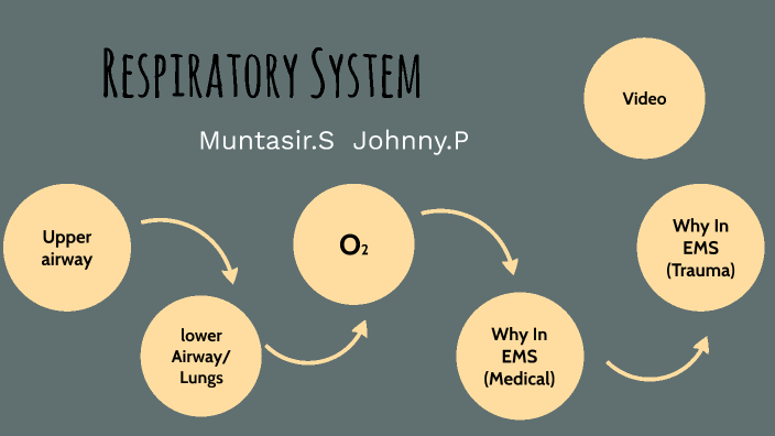 Respiratory System by on Prezi