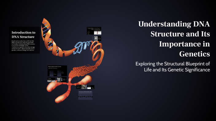 Understanding DNA Structure and Its Importance in Genetics by Joyce ...