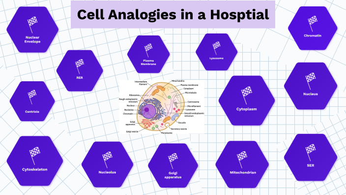 Cell Analogies Collage By Kyleigh Lapsis