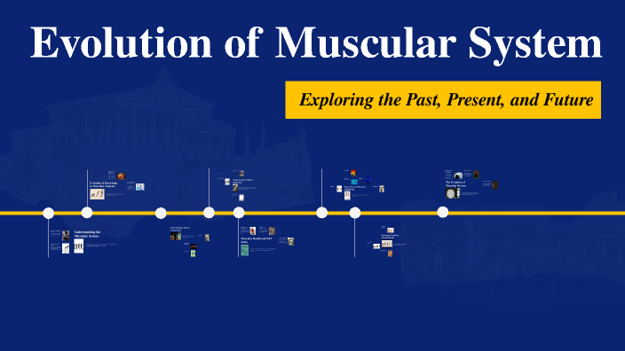Muscular System Evolution Evolution of Muscular System by Elyse Obando on Prezi