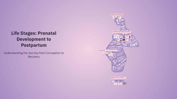 Life Stages: Prenatal Development to Postpartum by Lisa Vargas on Prezi