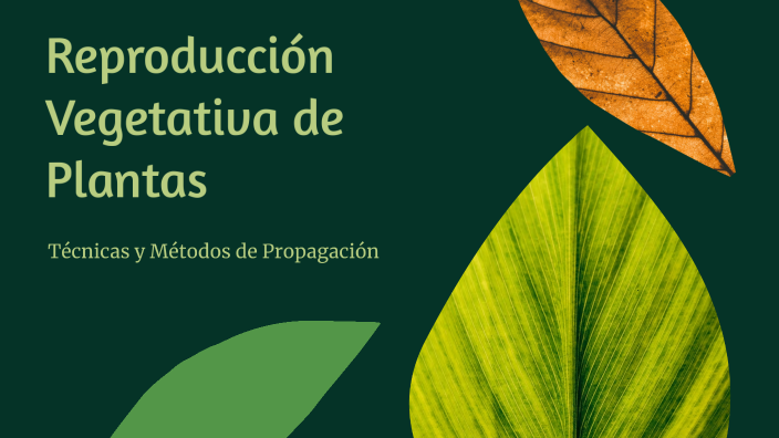 Reproducción Vegetativa de Plantas by Dayerlis Londoño on Prezi