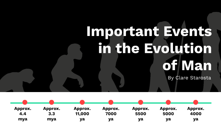 Evolution of man by Clare Starosta on Prezi