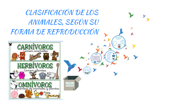 Clasificacion De Los Animales Segun Su Reproduccion By Paulina