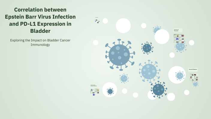 Correlation between Epstein Barr Virus Infection and PD-L1 Expression ...