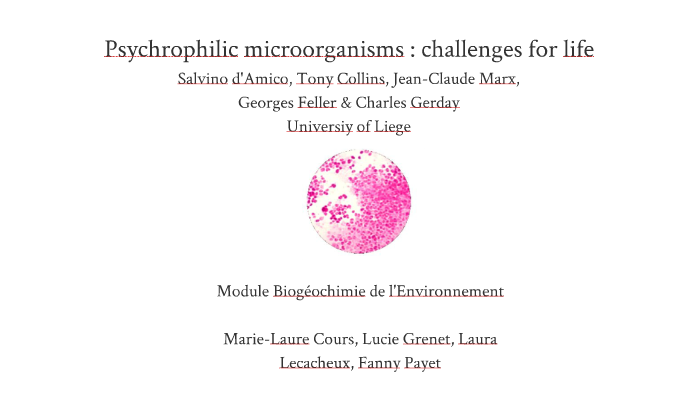 Les psychrophiles by Lucie G on Prezi