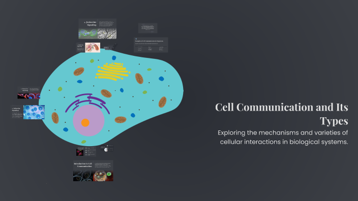 Cell Communication Overview Cell Communication and Its Types by on Prezi
