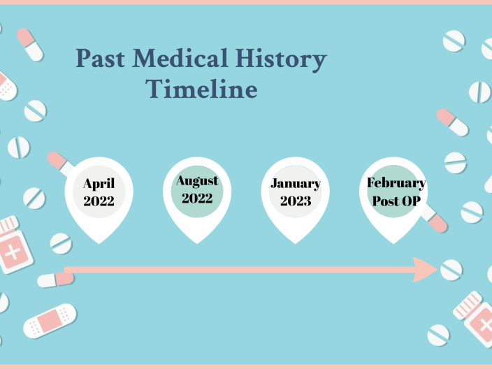 case study timeline example