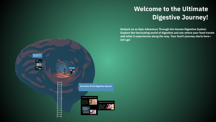 Journey Through The Digestive System by Rebekah Moore on Prezi