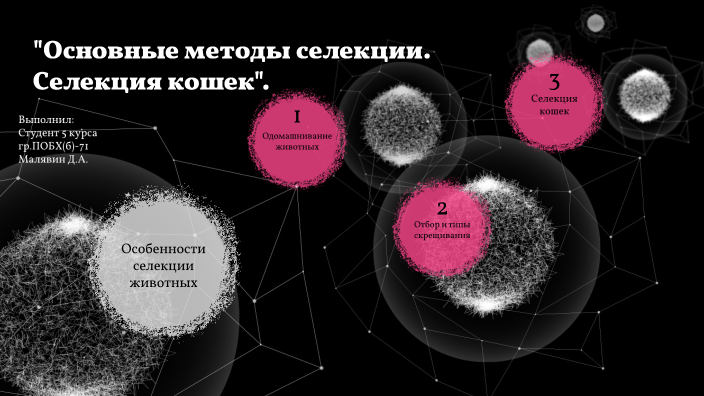 В основе методов селекции лежит. В основе методов селекции лежит