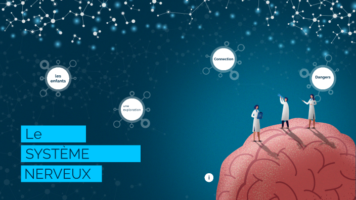 le systeme nerveux by aya maqboul on Prezi