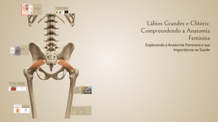Lábios Grandes e Clitóris: Compreendendo a Anatomia Feminina by Maiane ...