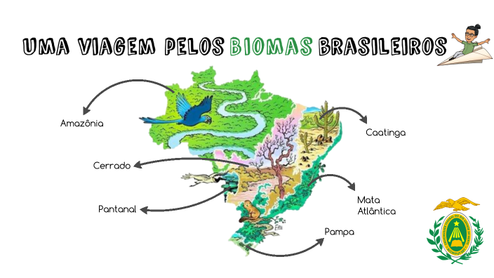 biomas brasileiros by vinicius tavares on Prezi