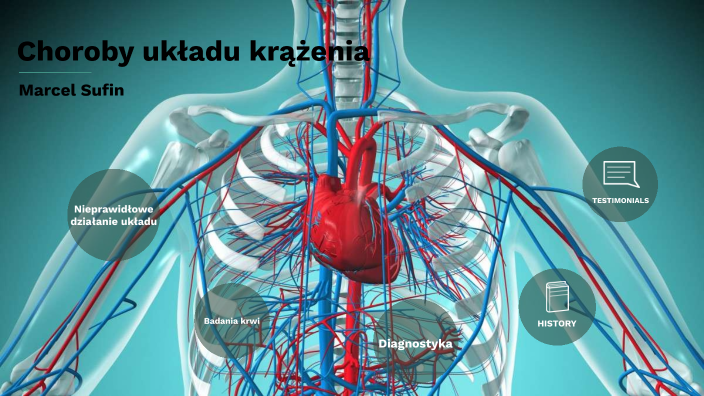 Biologia - Choroby układu krążenia by Marcel Sufin on Prezi