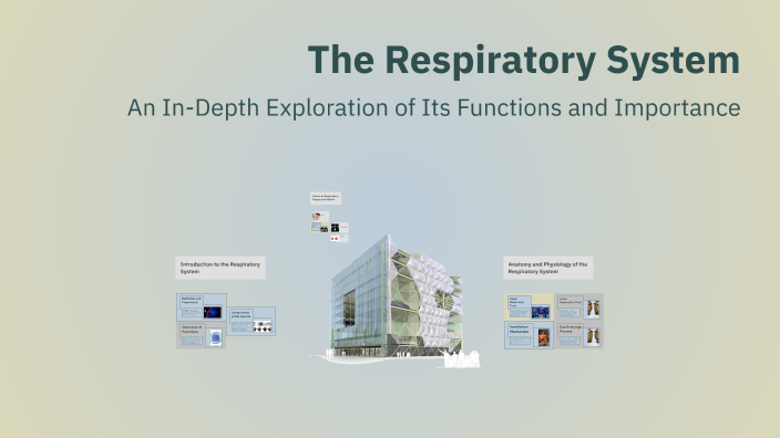The Respiratory System by A.K.J on Prezi